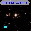 TYC  509-1784-1