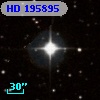 HD 195895