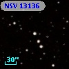 NSV 13136
