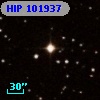 HIP 101937