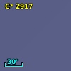 C* 2917