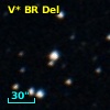 V* BR Del