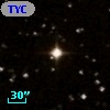 TYC  519-366-1