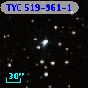 TYC  519-961-1