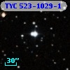 TYC  523-1029-1