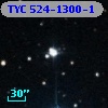 TYC  524-1300-1