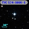 TYC  524-1666-1