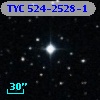 TYC  524-2528-1