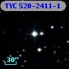 TYC  520-2411-1