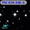 TYC  524-116-1