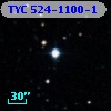 TYC  524-1100-1