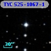 TYC  525-1067-1