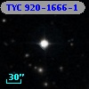 TYC  920-1666-1