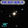 TYC  927-929-1