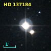 HD 137184