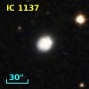 IC 1137