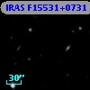 IRAS F15531+0731