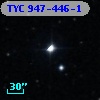 TYC  947-446-1