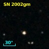 SN 2002gm