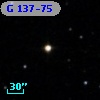 G 137-75