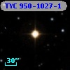 TYC  950-1027-1