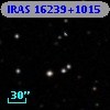 IRAS 16239+1015