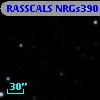 RASSCALS NRGs390