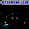 IRAS F16236+1000