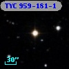 TYC  959-181-1