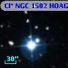 Cl* NGC 1502   HOAG     125