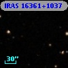 IRAS 16361+1037