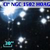 Cl* NGC 1502   HOAG     136