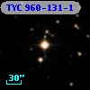TYC  960-131-1