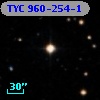 TYC  960-254-1