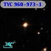 TYC  960-973-1