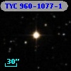 TYC  960-1077-1
