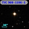 TYC  960-1186-1