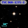 TYC  960-1275-1