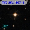 TYC  961-167-1