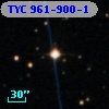 TYC  961-900-1