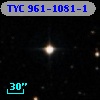 TYC  961-1081-1