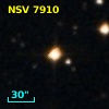 NSV  7910
