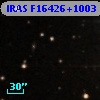IRAS F16426+1003