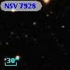 NSV  7928