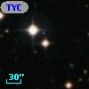 TYC  962-608-1