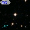 TYC  962-2222-1