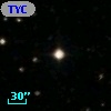 TYC  965-904-1