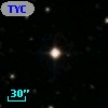 TYC  966-133-1