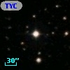 TYC  966-231-1