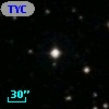 TYC  966-355-1
